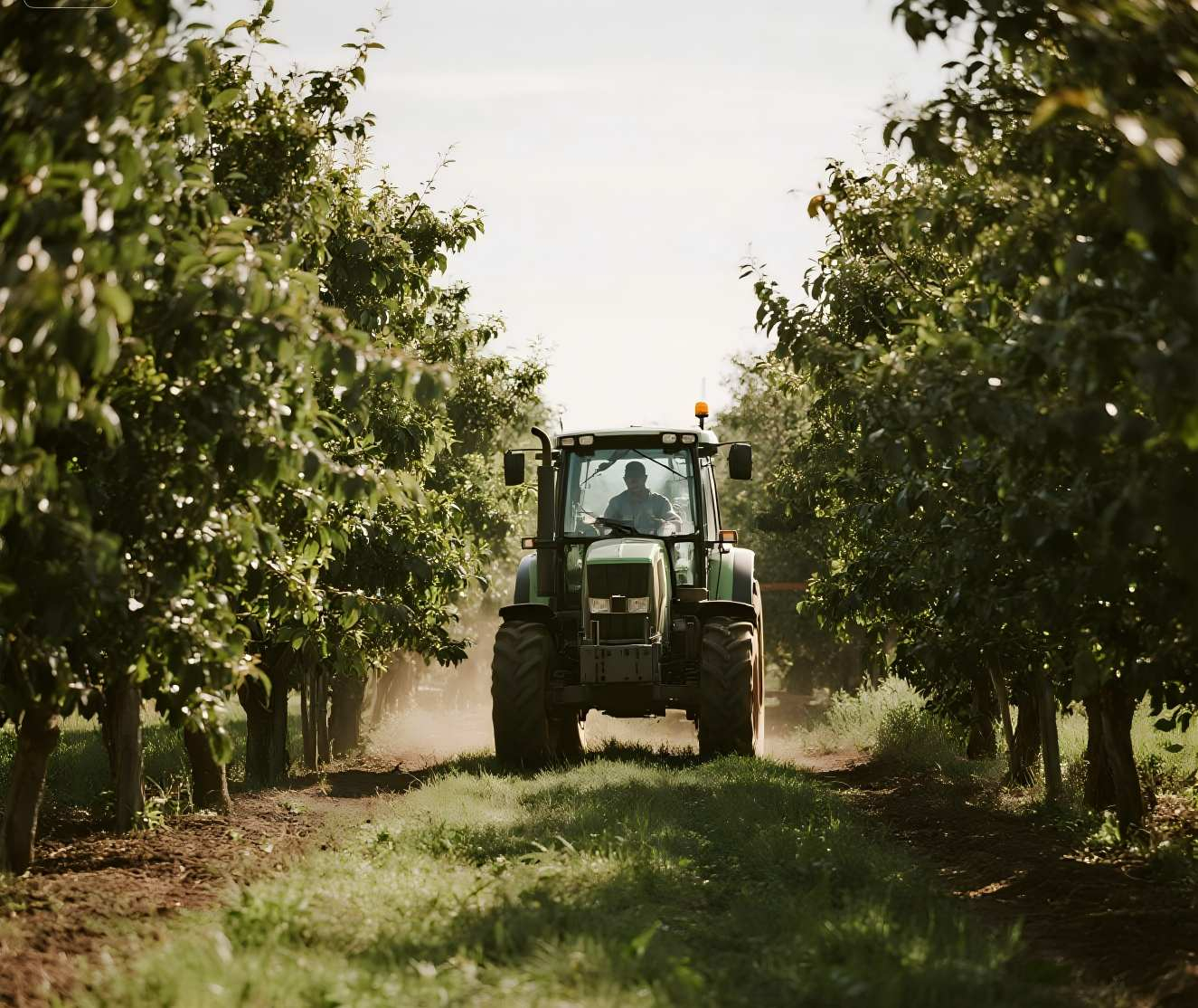 what is an orchard tractor